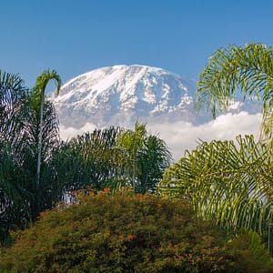 kilimanjaro, tanzania, africa-4436821.jpg