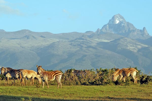 Mount Kenya view