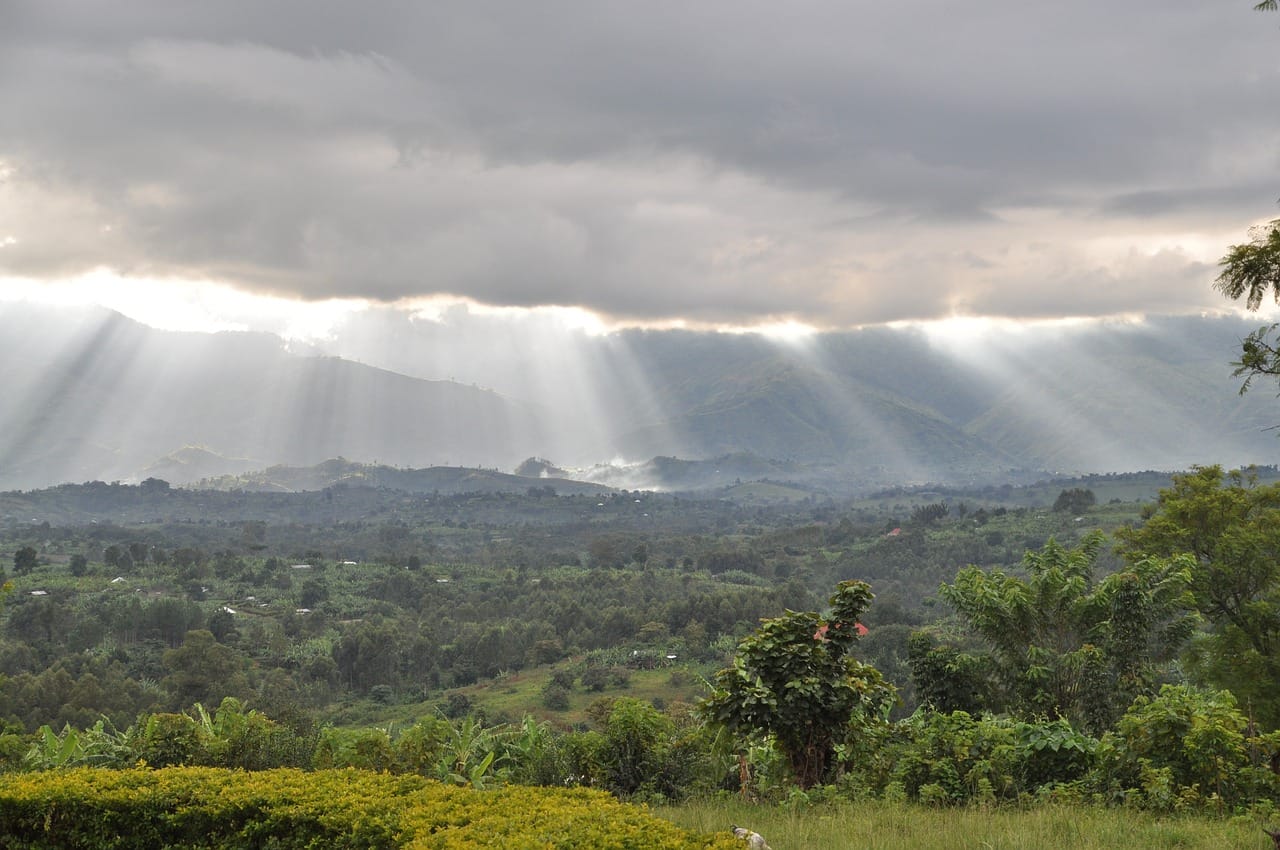 Mount Rwenzori