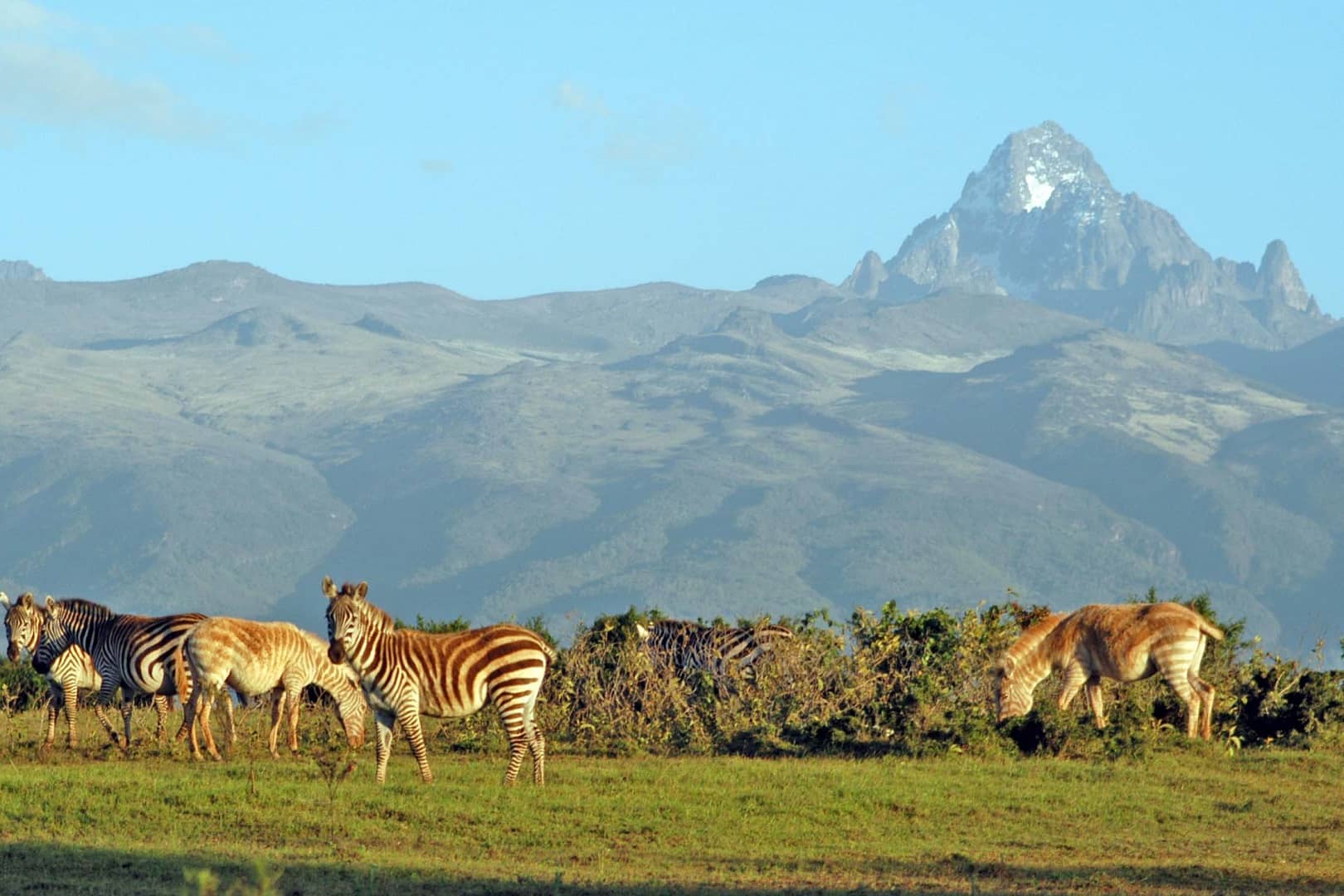 Mount Kenya view